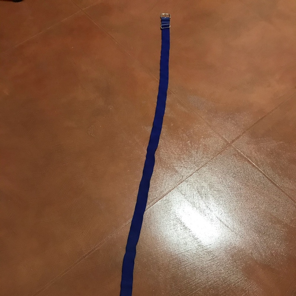 Allstar blue baseball one-size adjustable belt - gently worn - 60 in